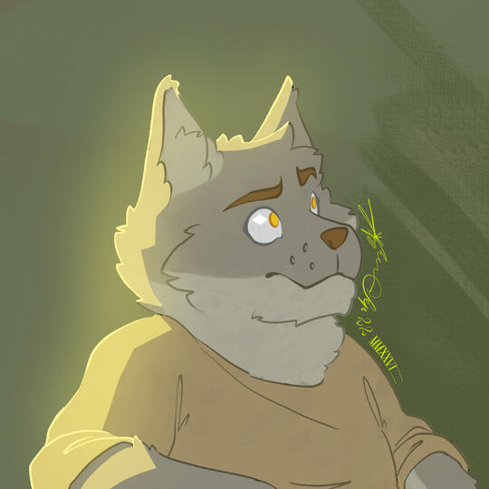 first time of using krita